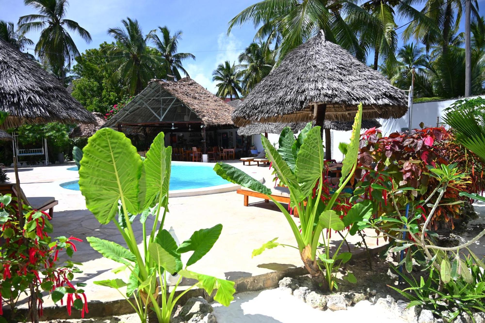 Ananda Villa Zanzibar Bwejuu Exteriér fotografie